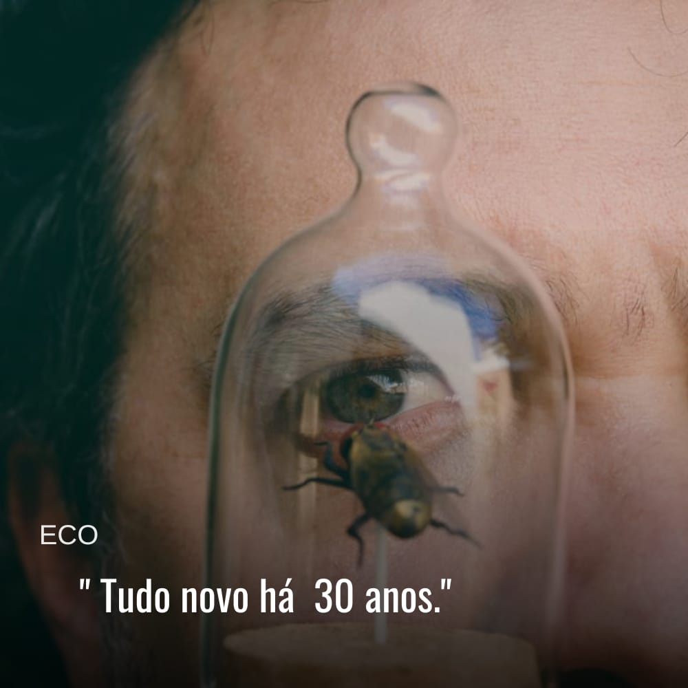 ECO | PAULINHO MOSKA